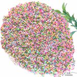 Paetês Coelho 20g