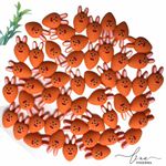 Cenoura com Orelhas (4Uni.)