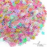 Paetês Floco de Neve Grande 20g 
