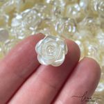 Rosinha Passante (16MM)