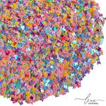 Paetês Micro Borboleta 20g 