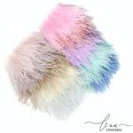 Plumas ( 1 Metro)
