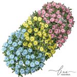 Flor Tripla Termo Colante (4Uni.) 