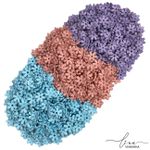 Mini Florzinha Passante (13MM) 