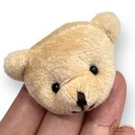 Rostinho de Urso Pelúcia (2Uni.)