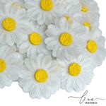 Margarida Organza (2Uni.) 
