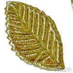 Folha Bordada Dourada (10Uni.)