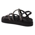 Birken Le Morne Preto