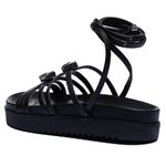 Birken Moorea Preto
