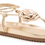 Birken Ravello Ouro