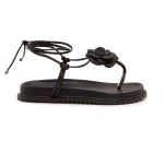 Birken Ravello Preto