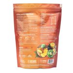 Collagen Protein Longevity Drink Abacaxi e Hortelã Puravida 450g
