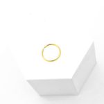 Piercing para Nariz Liso em Aço com Banho de Ouro