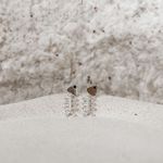 Brinco Peixe esqueleto Prata 925