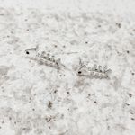 Brinco Peixe esqueleto Prata 925