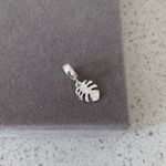 Berloque Costela De Adão Prata 925 