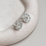 Brinco Guirlanda Prata 925