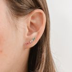 Brinco Palito Colorido Prata 925