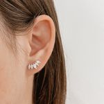 Brinco Folhas com Zirconia Prata 925