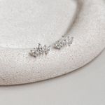 Brinco Folhas com Zirconia Prata 925