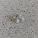 Brinco Nossa Senhora Prata 925