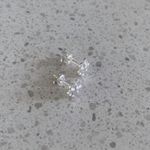 Brinco Flor Prata 925 