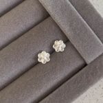 Brinco Flor Prata 925 