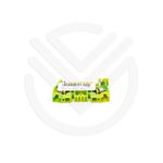 Borne Conector Tipo Mola 4mm Terra Weg 10289018