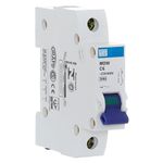 Disjuntor Unipolar Weg 6a 3ka Curva C Mdw-c6