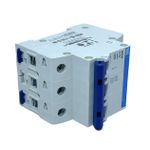 Disjuntor Tripolar Weg Din 16A Curva C 3KA MDW-C16-3