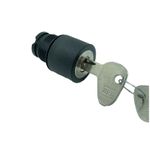 Frontal Comutador Chave Yale 3 Pos. Ret. Mola Weg 22mm S/ Fl