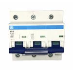 Disjuntor Tripolar Weg Din 125a Curva C 3ka Mdw-c125-3