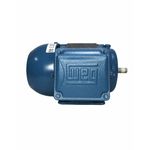 Motor Eletrico Trifasico Weg 3/4cv 0,75cv 2 Polos 220/380v