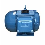 Motor Trifásico Weg 10cv 4p 220/380v C/pes S/ flange Ir3 Premium 132s