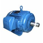 Motor Trifásico Weg 10cv 4p 220/380v C/pes S/ flange Ir3 Premium 132s