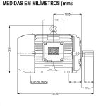 Motor Monofásico 15Cv 4P 1800 Rpm 220/380V Carcaça 132M/L W22