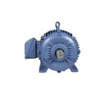 Motor Trifásico 30CV Weg 4 Polos 220/380/440V W22 IR3 Premium