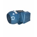 Motor Trifasico Weg 0.5CV 4Polos 220/380V W22 IR3 Premium