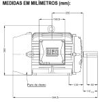 Motor Trifásico 25Cv 4P 1800 Rpm 220/380/440V Carcaça 160L W22
