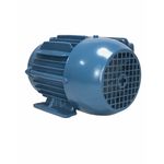 Motor Trifásico Weg 0.5CV 2Polos 220/380V IR3 Premium