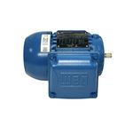 Motor Trifásico Weg 1/3CV 4 Polos 220/380V IR3 Premium 