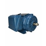 Motor Trifásico 3/4CV Weg 4 Polos 220/380V W22 IR3 Premium