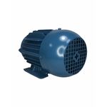 Motor Trifásico 3/4CV Weg 4 Polos 220/380V W22 IR3 Premium