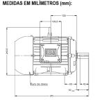 Motor Trifásico 5Cv 2P 3600 Rpm 220/380 Carcaça 100L W22