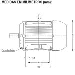 Motor Trifásico 5Cv 2P 3600 Rpm 220/380 Carcaça 100L W22
