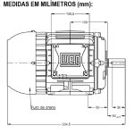 Motor Trifásico 2Cv 4P 1800 Rpm 220/380/440V Carcaça L90S W22