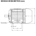 Motor Trifásico 2Cv 4P 1800 Rpm 220/380/440V Carcaça L90S W22
