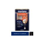Resina Acrilica Incolor Brilhante Base Solvente 18l Montana
