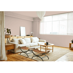 Tinta Para Parede 3,6 Litros Toque Fosco Completo Suvinil - Allure