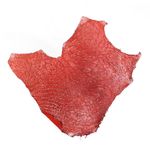 Couro De Retículo Bovino Vermelho F. PRATA